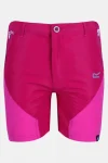 Online Regatta Kids Sorcer Mountain Shorts